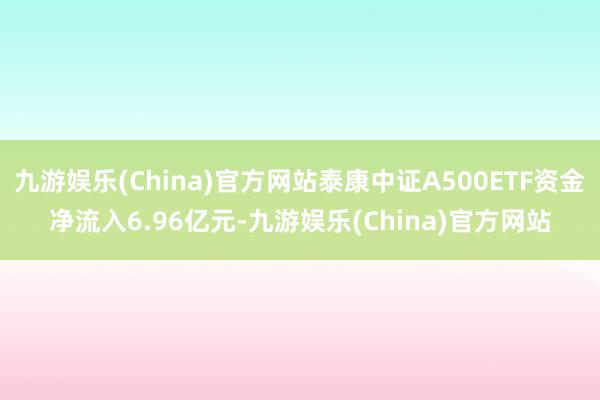 九游娱乐(China)官方网站泰康中证A500ETF资金净流入6.96亿元-九游娱乐(China)官方网站