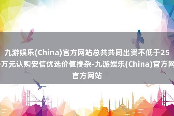 九游娱乐(China)官方网站总共共同出资不低于2500万元认购安信优选价值搀杂-九游娱乐(China)官方网站